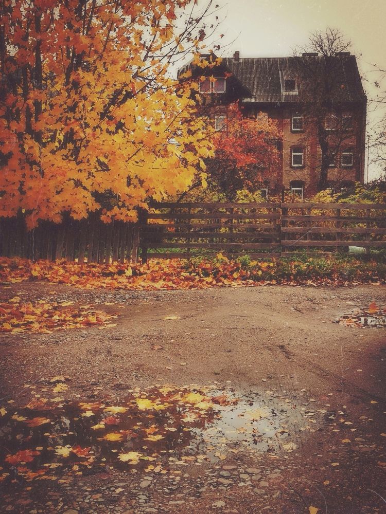 Photograph by Наталия Питолина