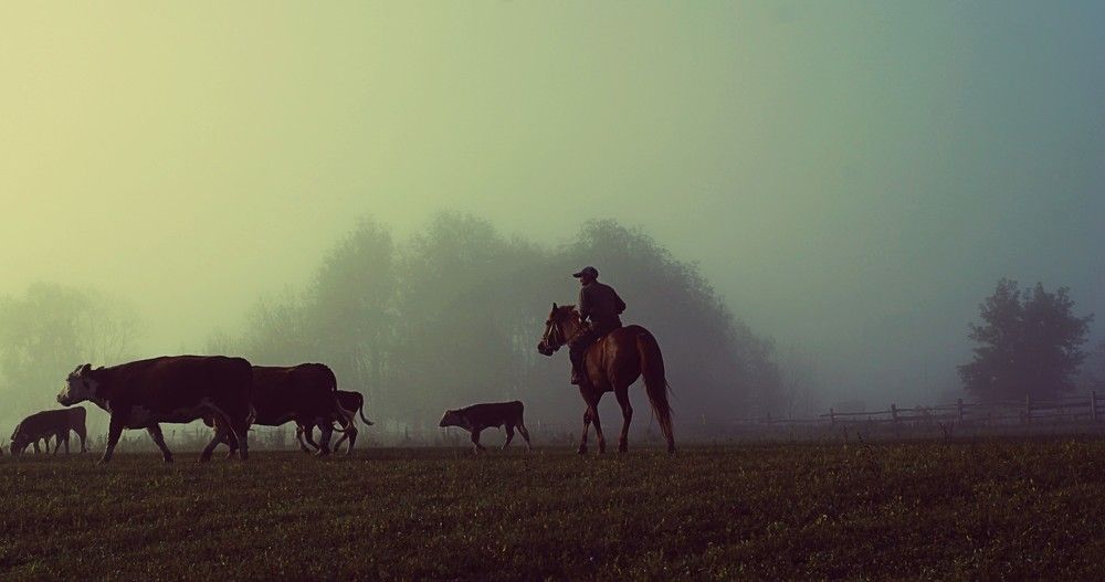 Photograph by Евсеева Валентина