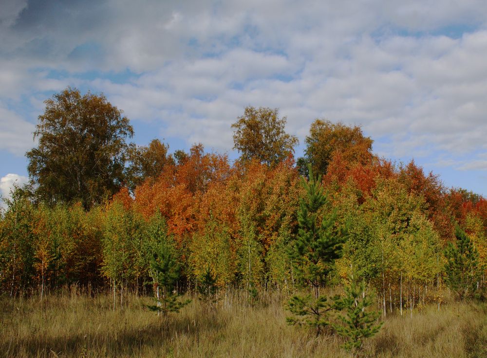 Photograph by Елена Сахарова