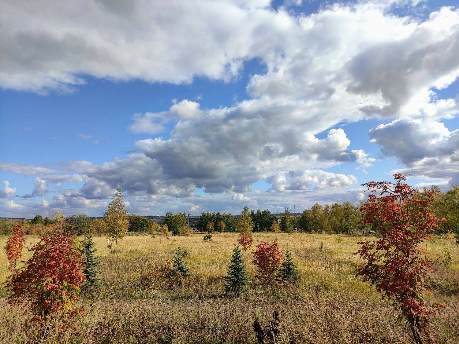 Photo #9610521
