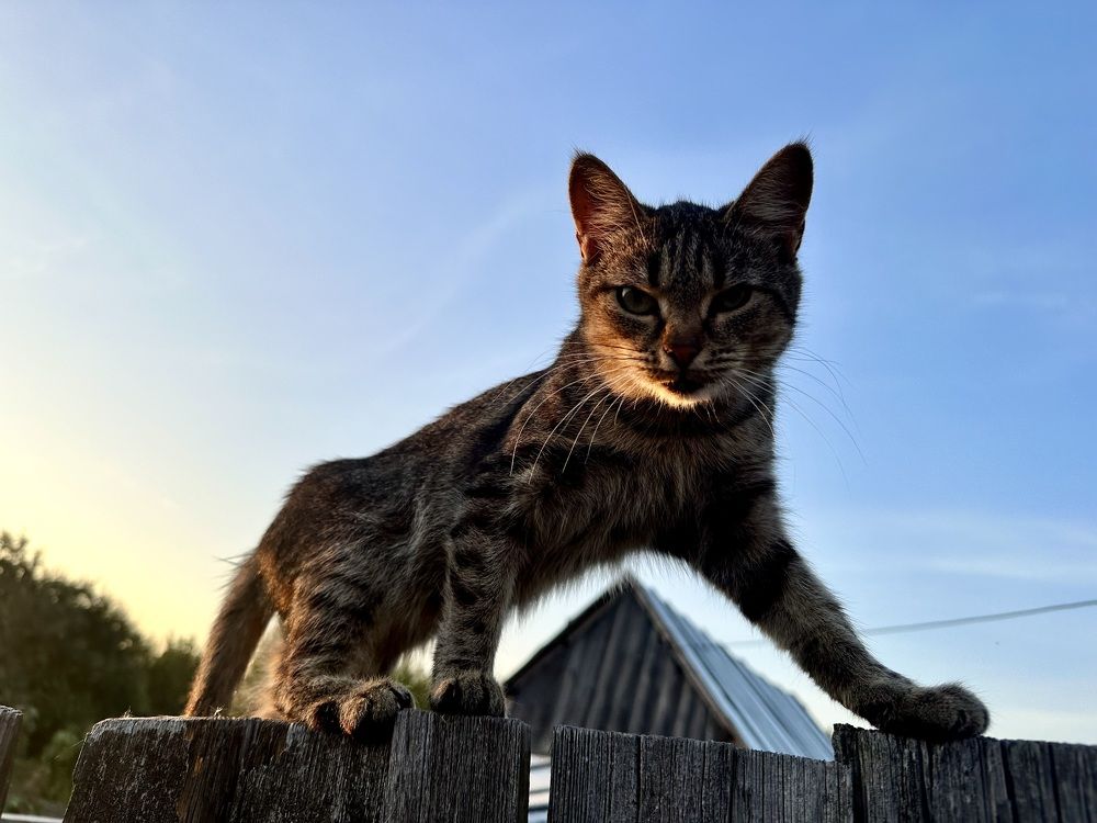 Photograph by Александр