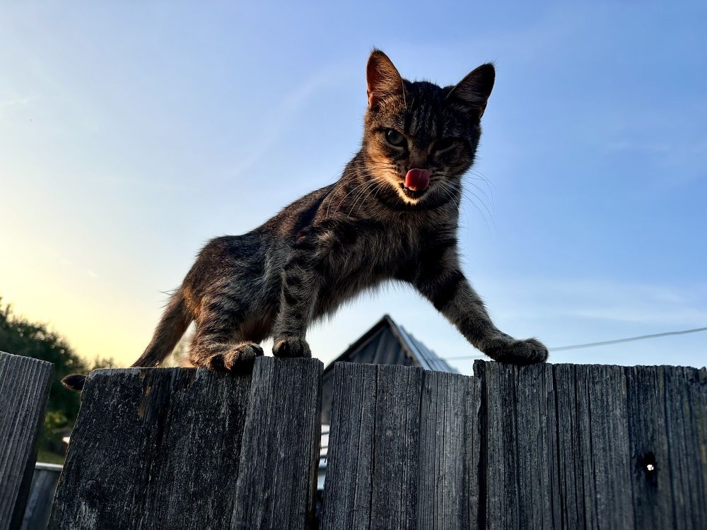 Photograph by Александр