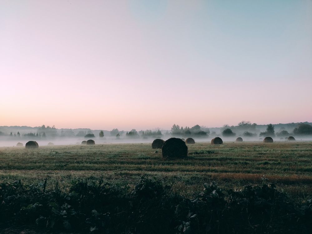 Photograph by Сидорова Ирина