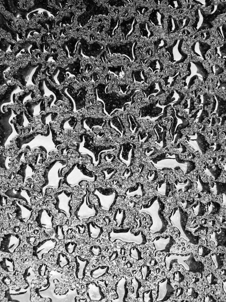 Photograph by Екатерина Пенежина