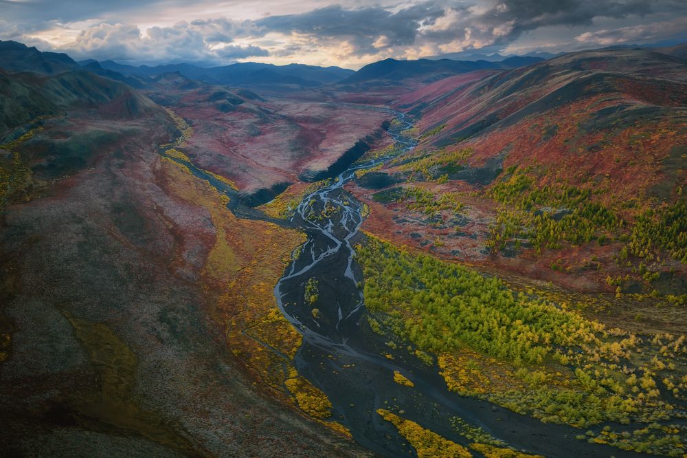 Фотография автора Шишкин Дмитрий