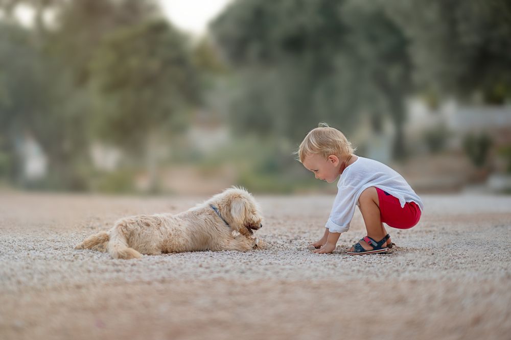 Photograph by Ирина Сибукова