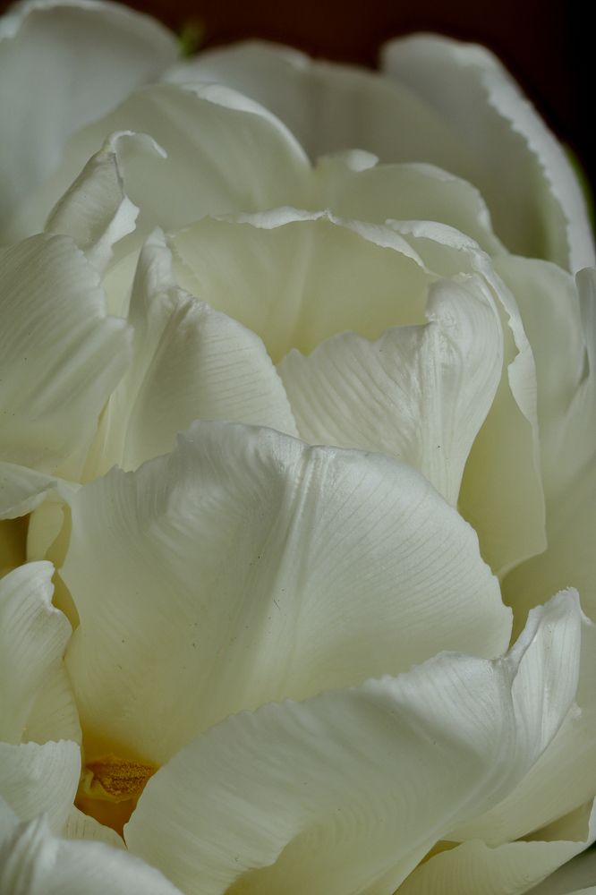 Photograph by Надежда Зайцева