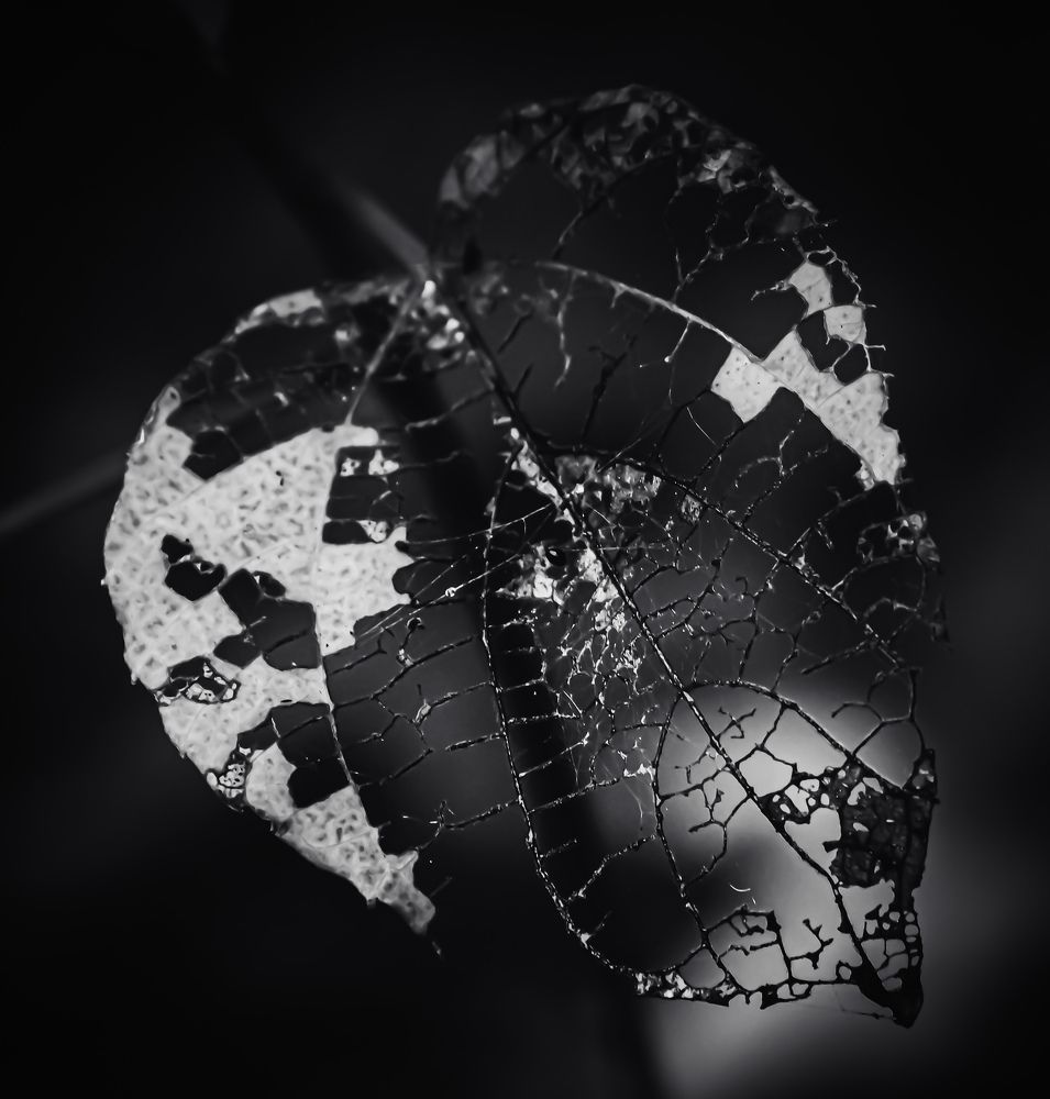 Photograph by Do Thi Thanh Binh