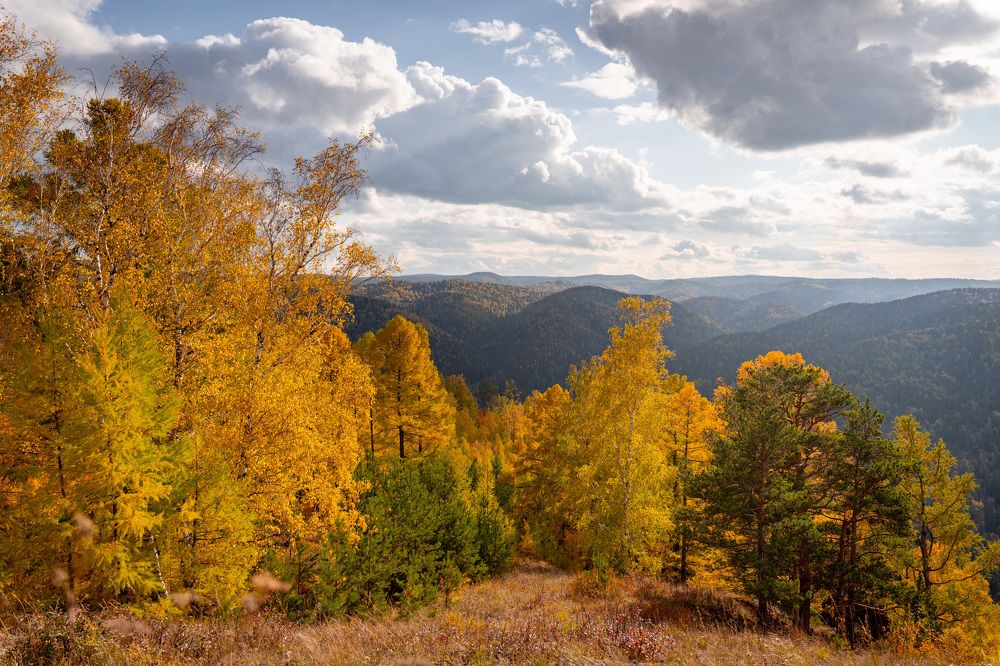 Золотая осень.