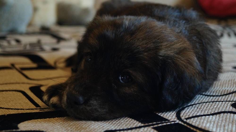 Photograph by Иван Кирилков