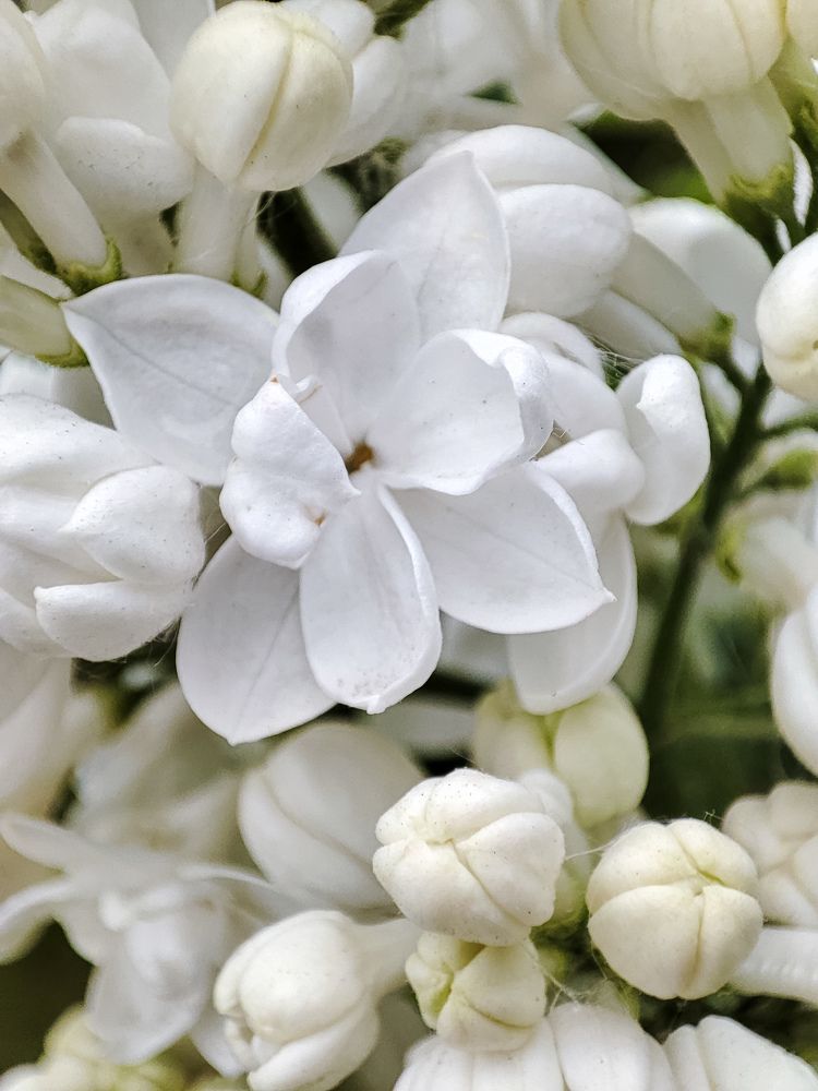 Photograph by Оксана Бурцева