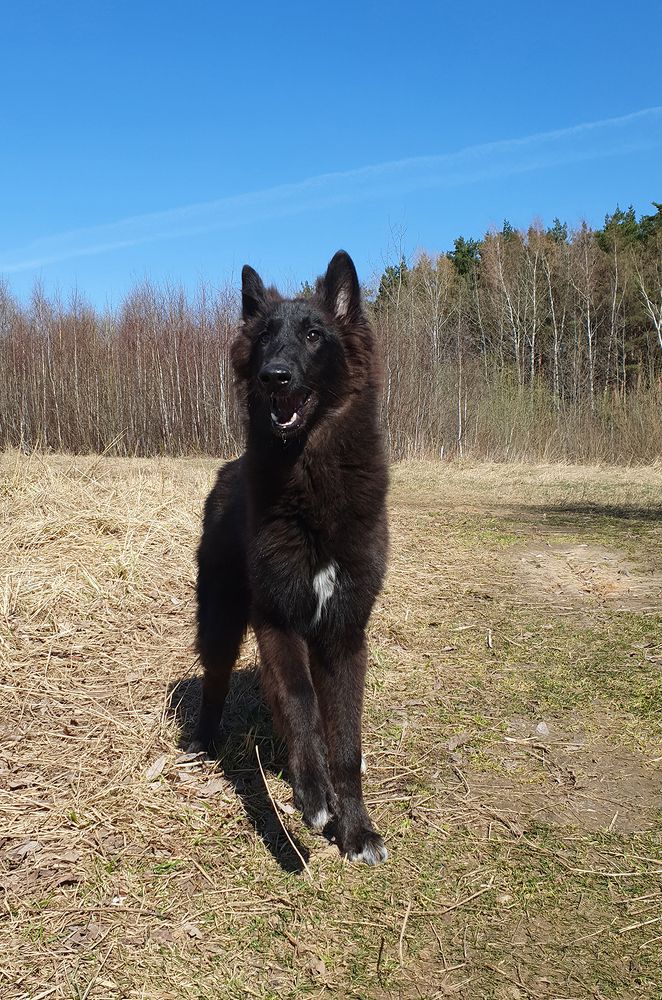 Фотография автора Надежда Лисицына