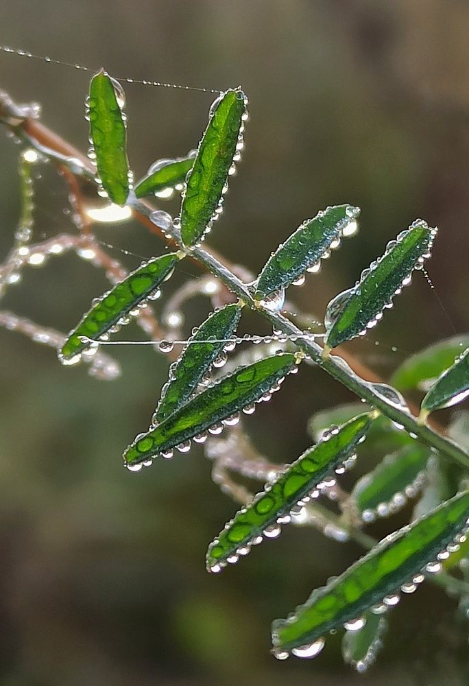 Photograph by Новикова Елена Сергеевна