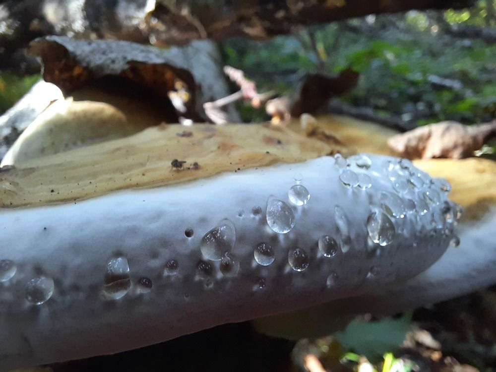 Photograph by Елена Симонова