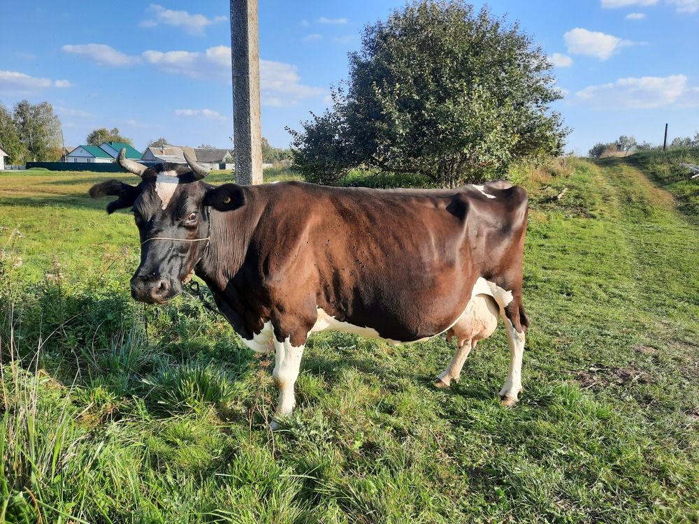 Photograph by Елена Симонова