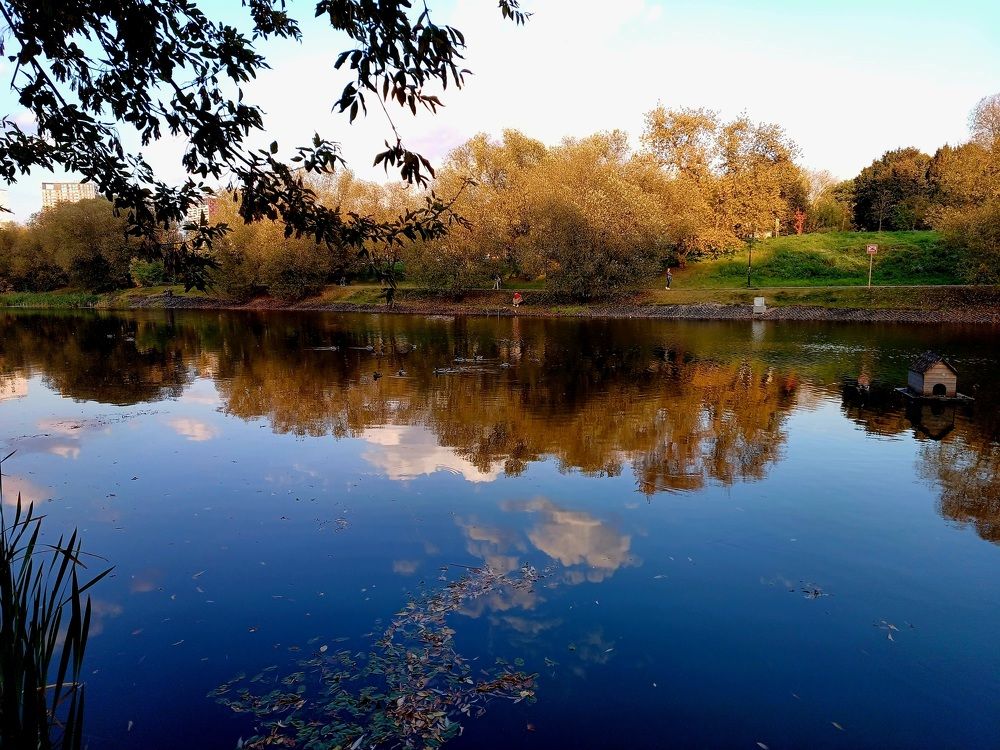 Photo #9610825