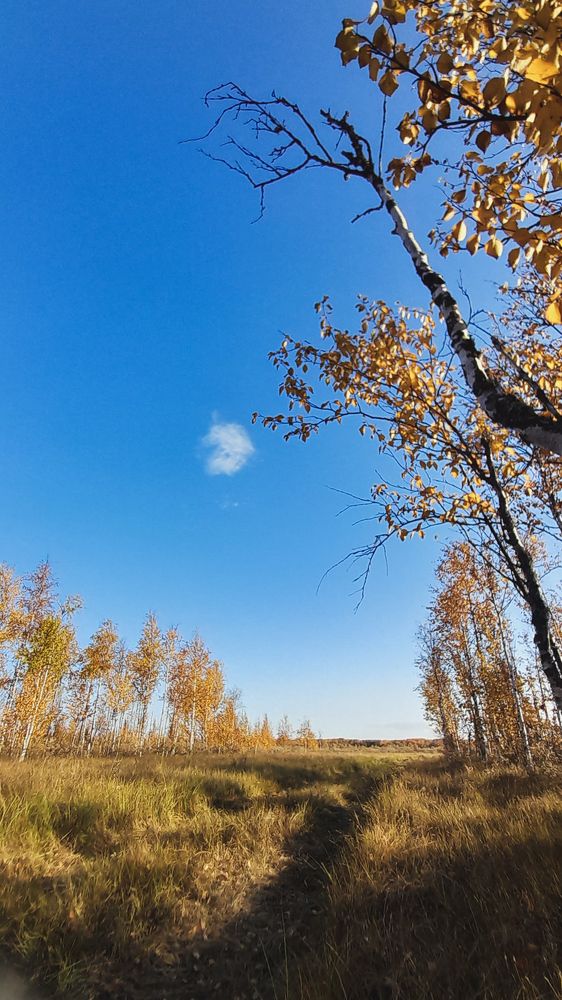 Photograph by Наталья Исаева