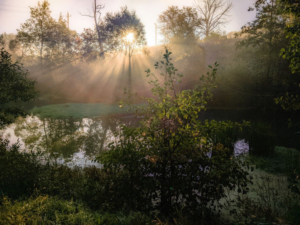 Photograph by Светлана Кондрашова