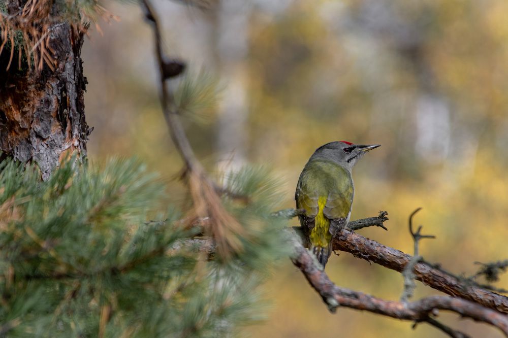 Photograph by Андрей Бобрюк