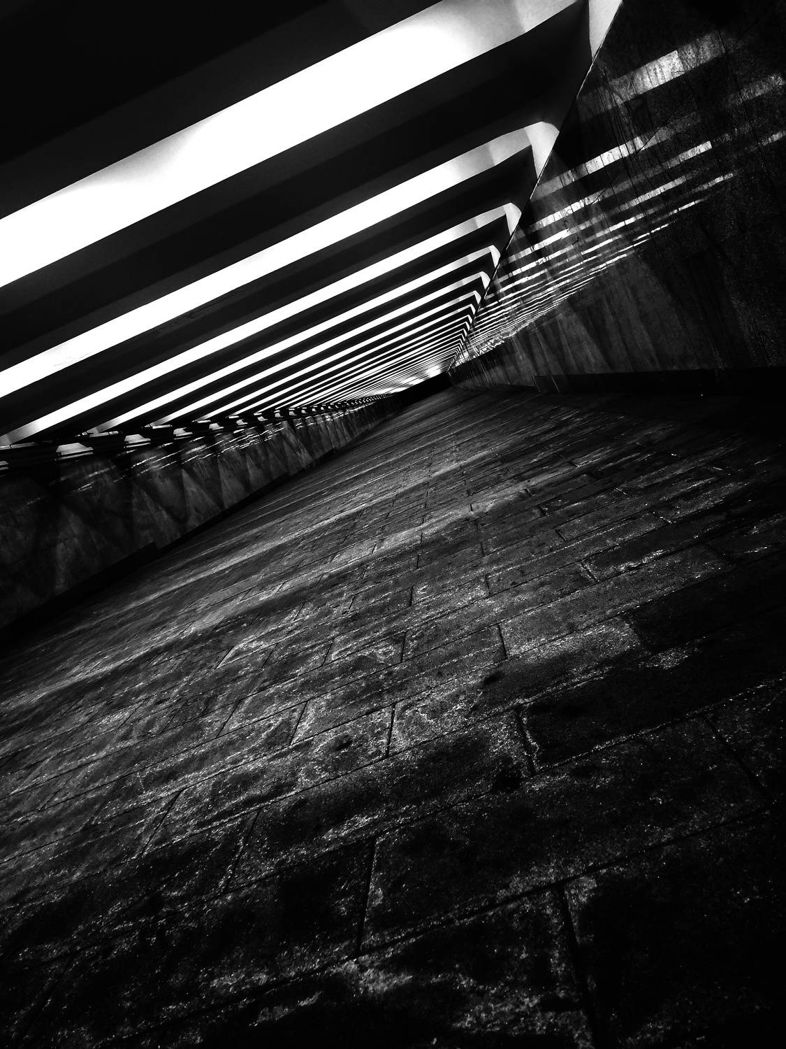 Photo #9610915