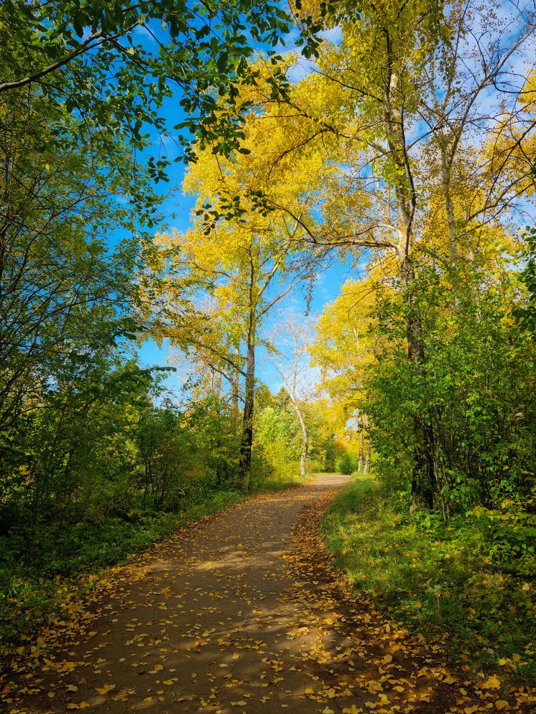 Photograph by Sergey Shubin