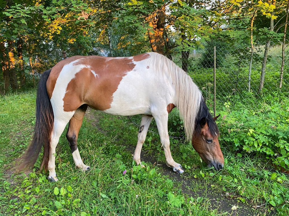 Photograph by Анна Курбатова