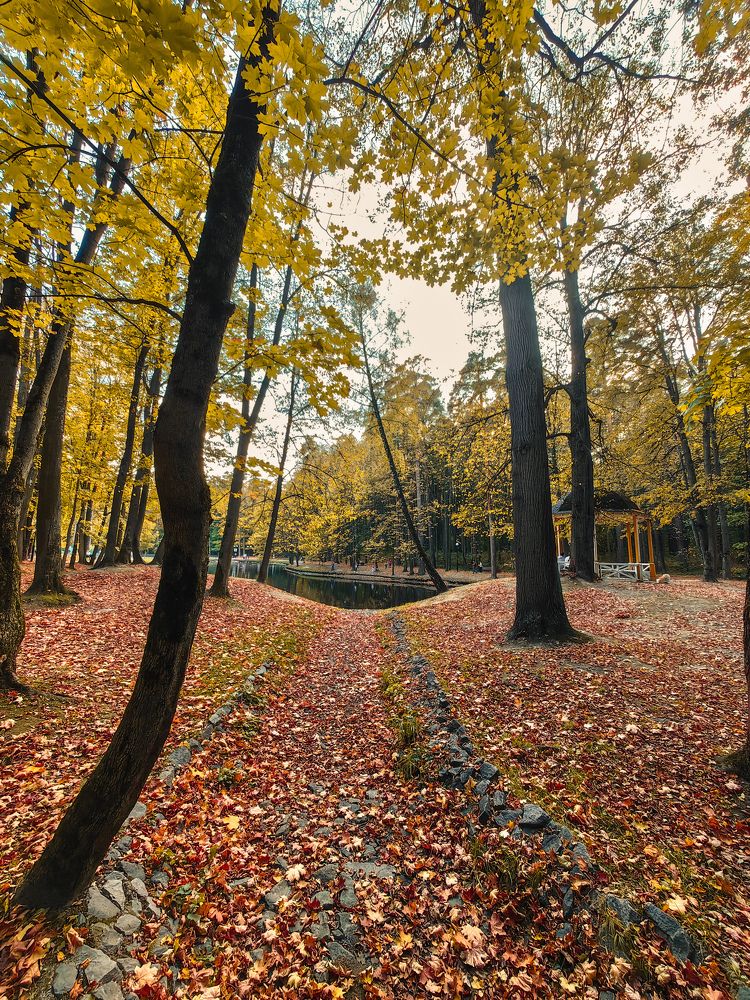 Photograph by Nikolai T