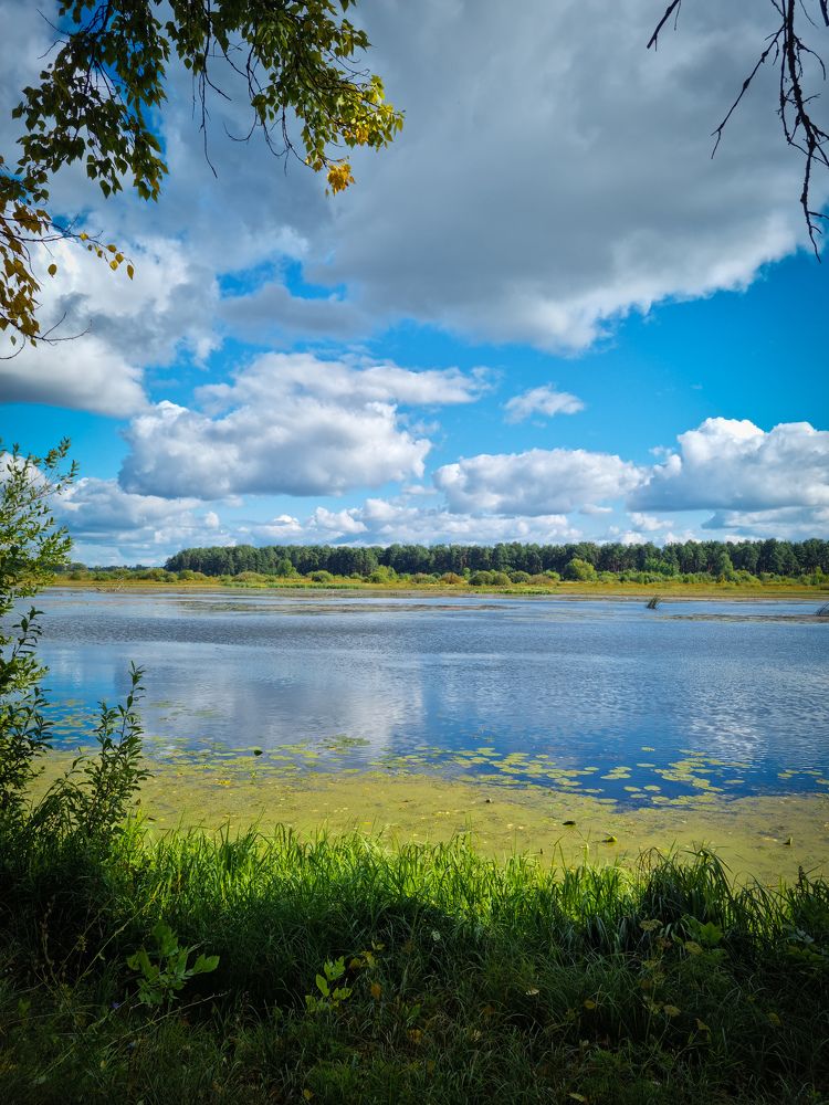 Photograph by Sergey Shubin