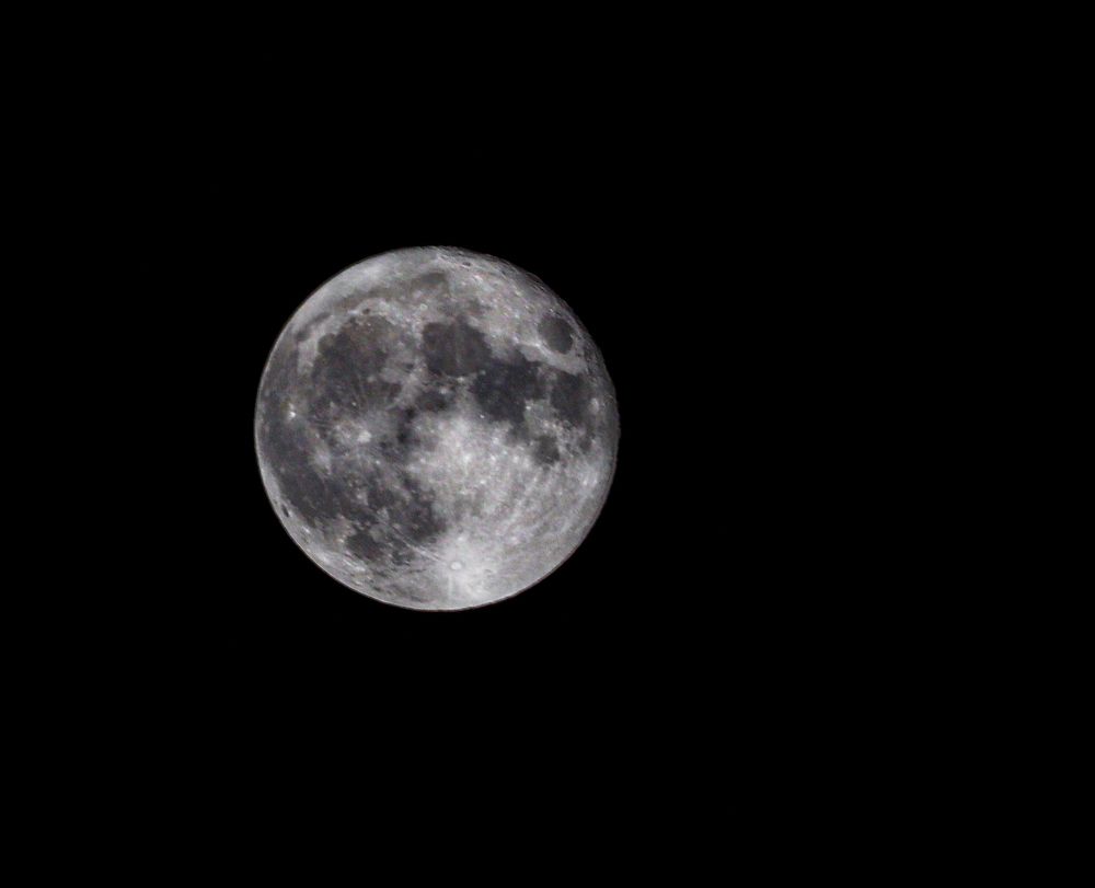 Фотография автора khaled zerfaoui