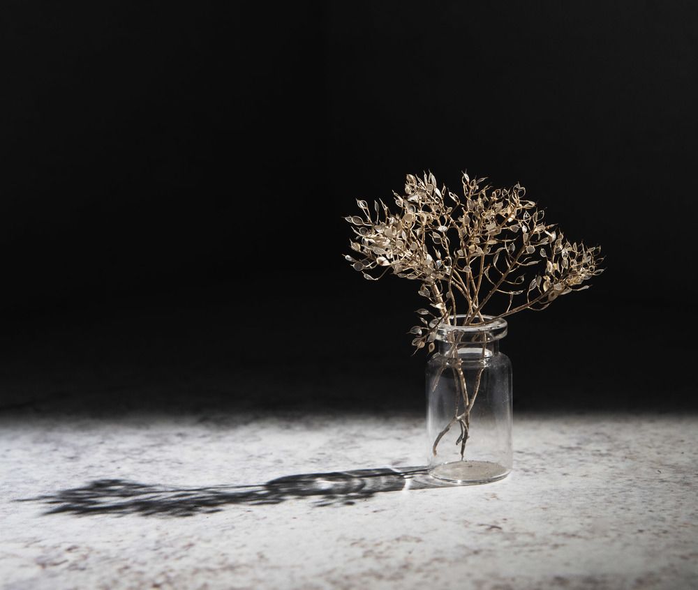 Photograph by Ирина Яук