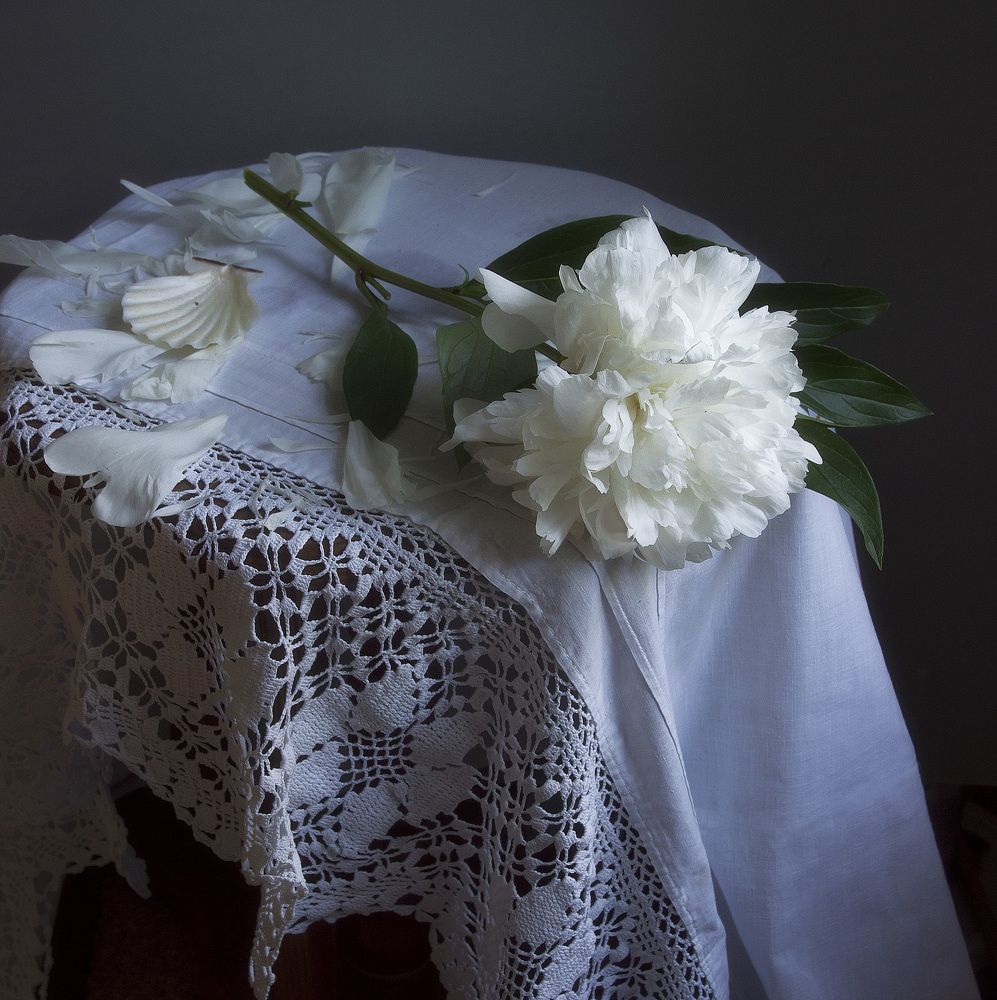 Роняя лепестки.