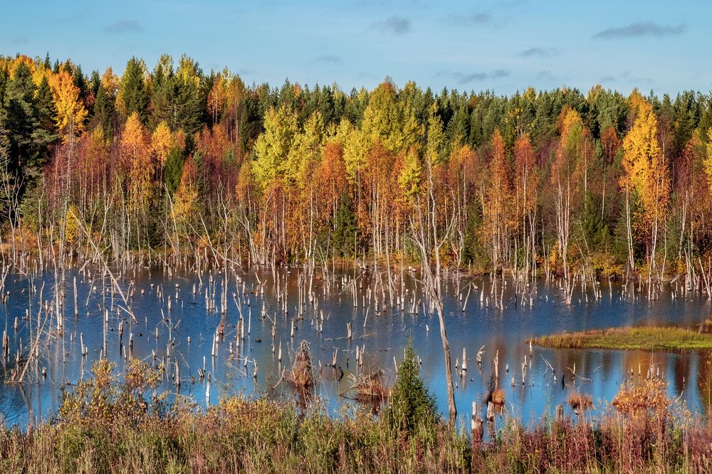 Photograph by Анатолий Асеев