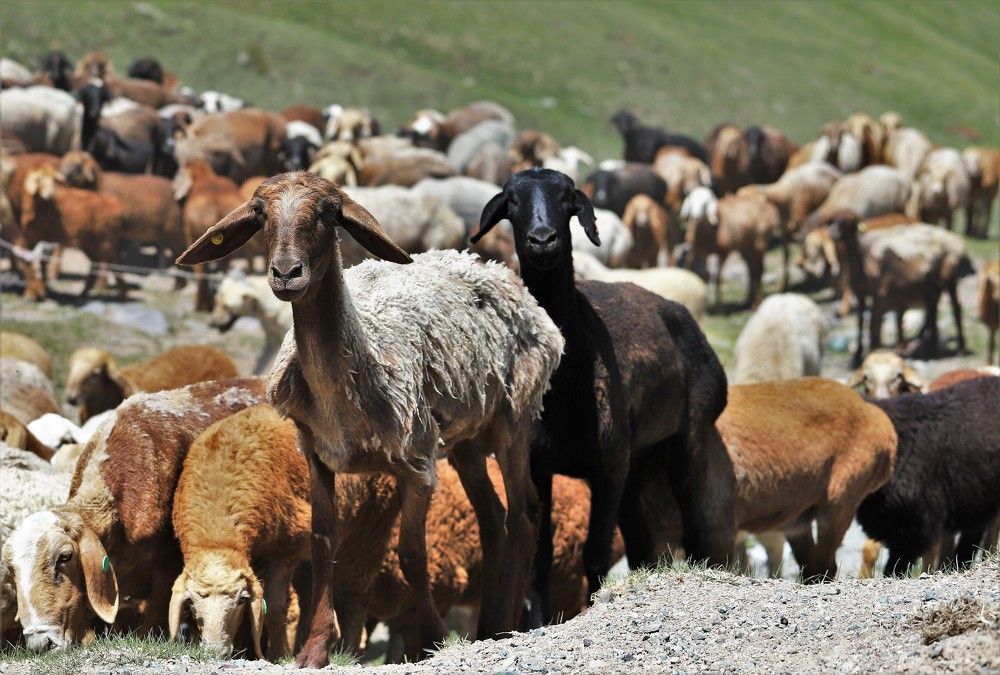 Photograph by Максимушкина Ольга