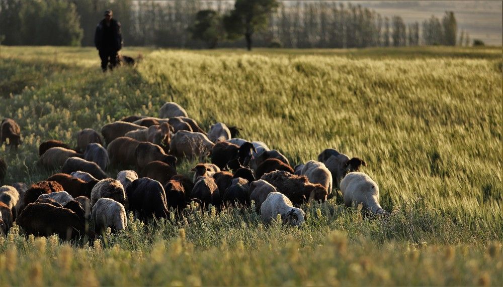 Photograph by Максимушкина Ольга