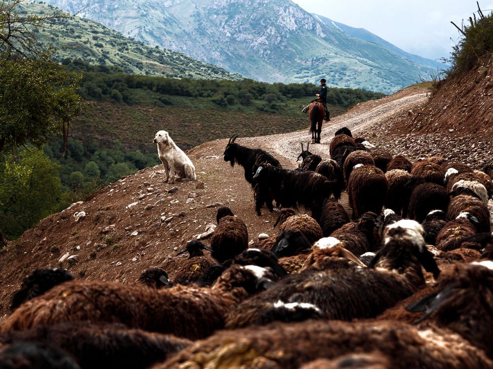 Photograph by Evgeniy Savikov