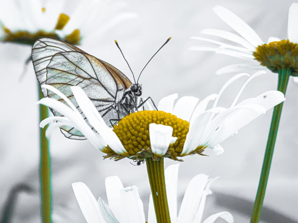 Photograph by Konstantin Martynov