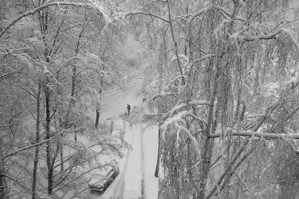 Photograph by Светлана Воробьёва