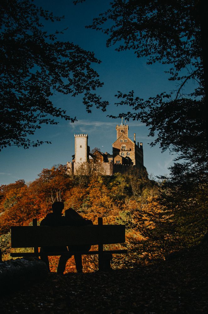 Photograph by Lisa Buzova