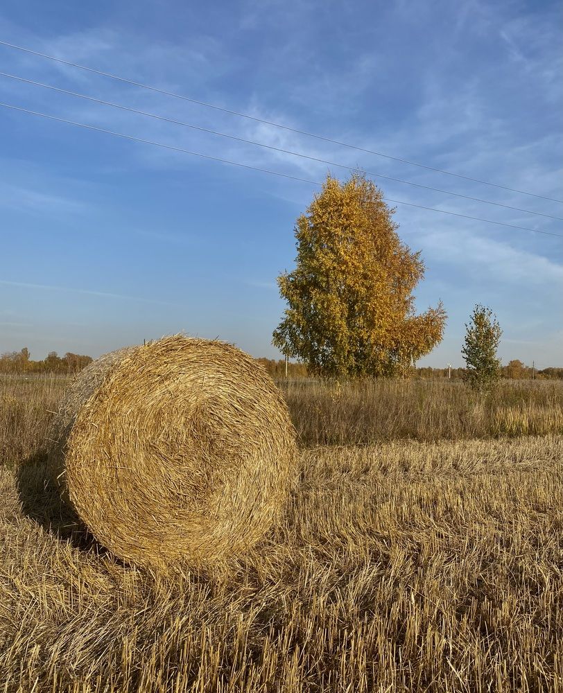 Photograph by Алиса Лукина