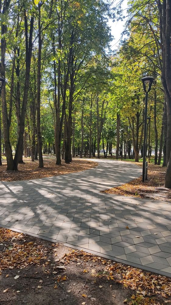 Фотография автора Кира Полотовская