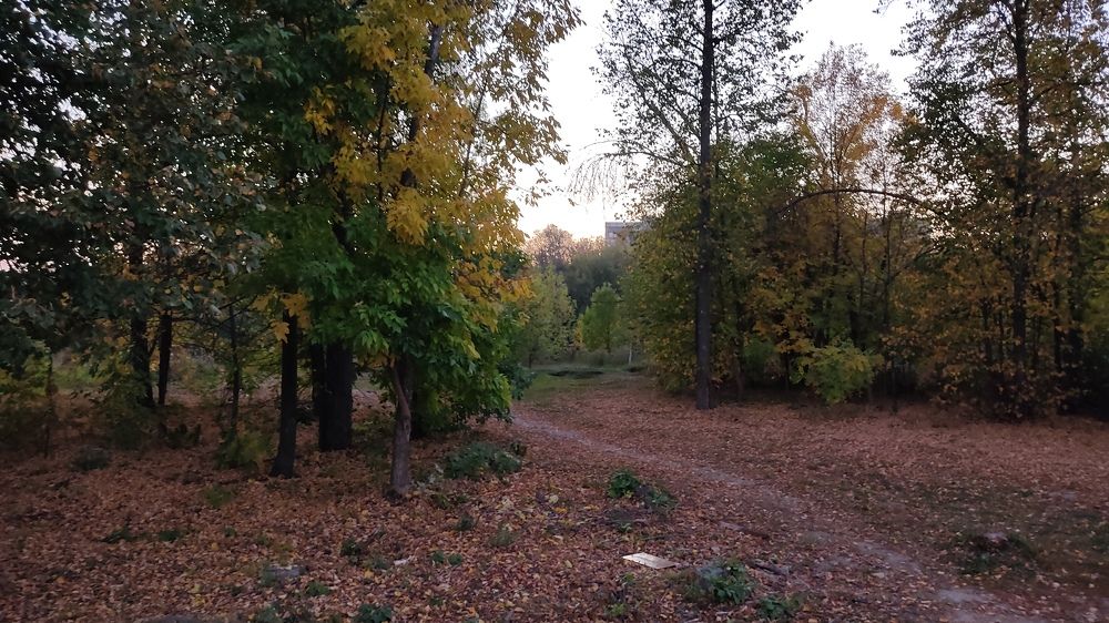 Фотография автора Кира Полотовская