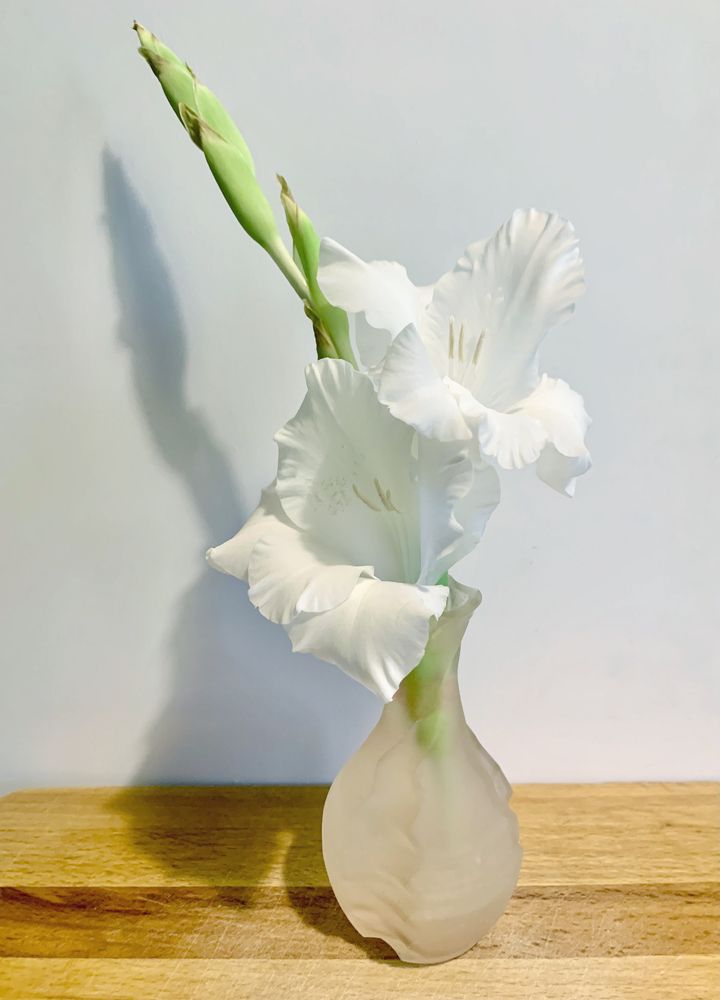 доцветающий гладиолус