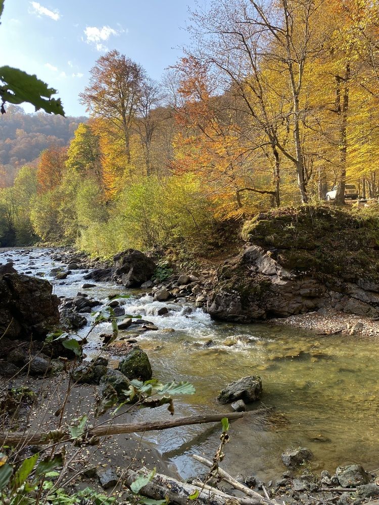 Photograph by Алиса Лукина