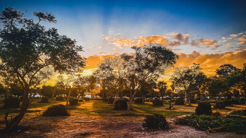 Photograph by Islam Metwally