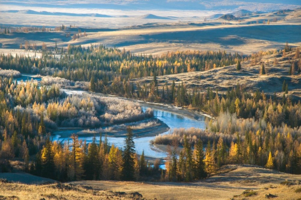 Фотография автора Вадим Качанов