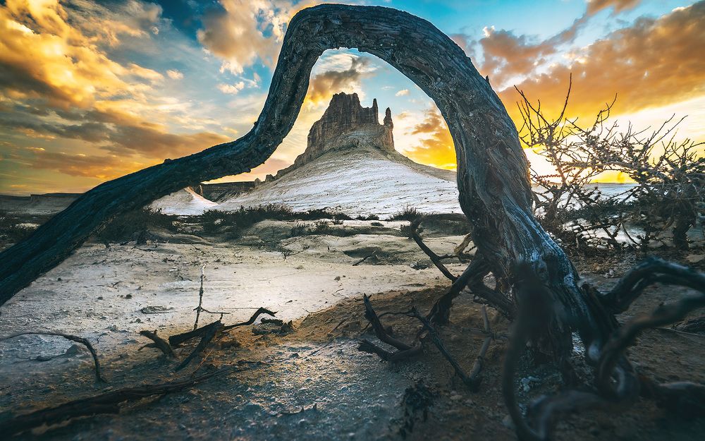 Photograph by Алексей Котлов