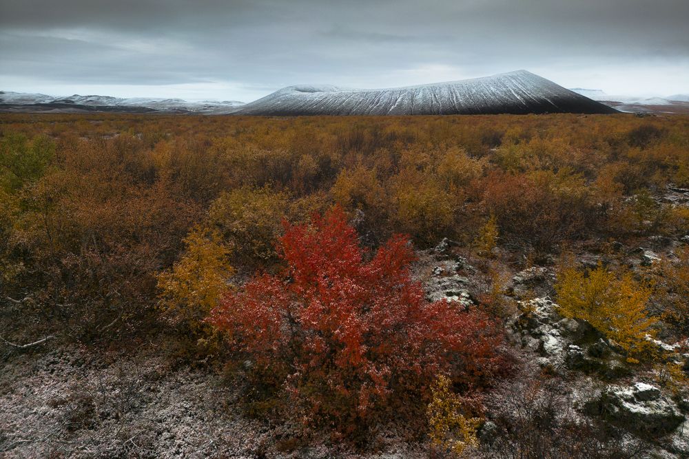 Photograph by Idan Livni