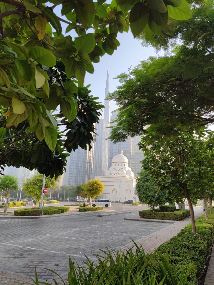 Photograph by Анна Курбатова