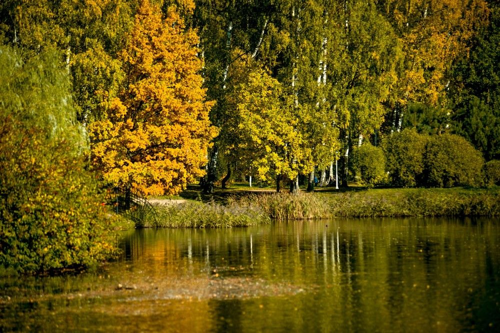 Photograph by Татьяна