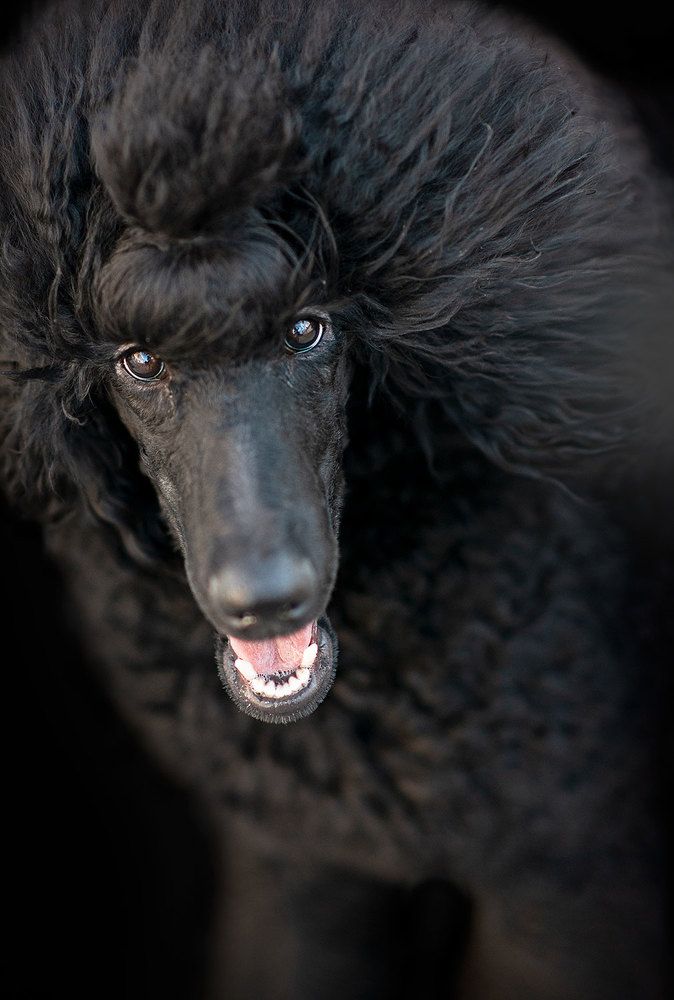 Photograph by Zoya Delevska